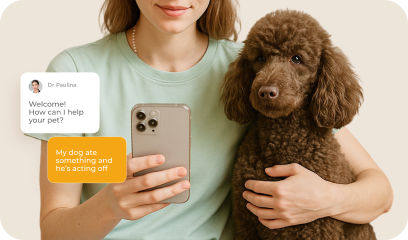 Online Vet