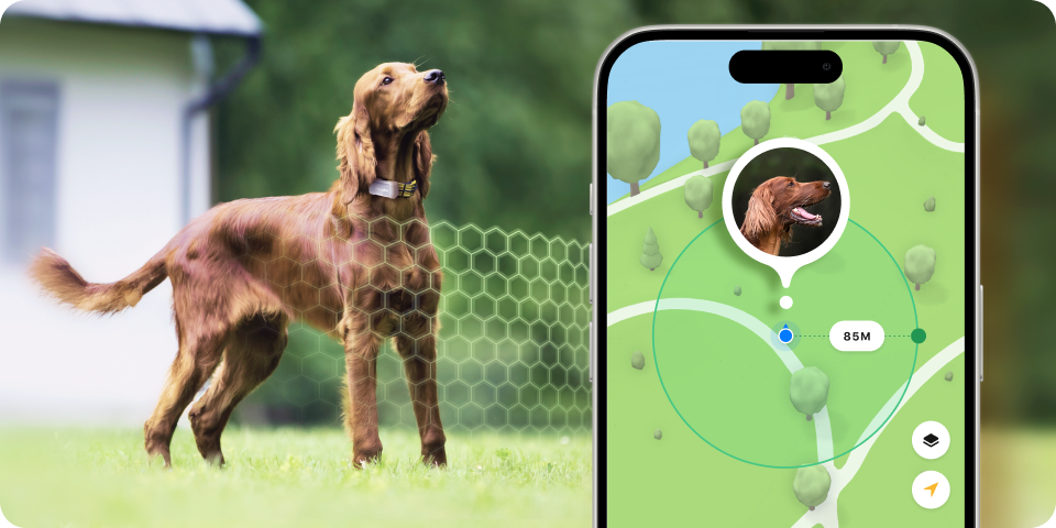 Geofence