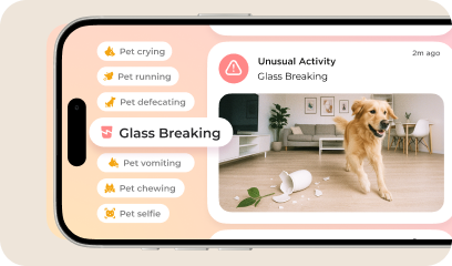 Smart alerts