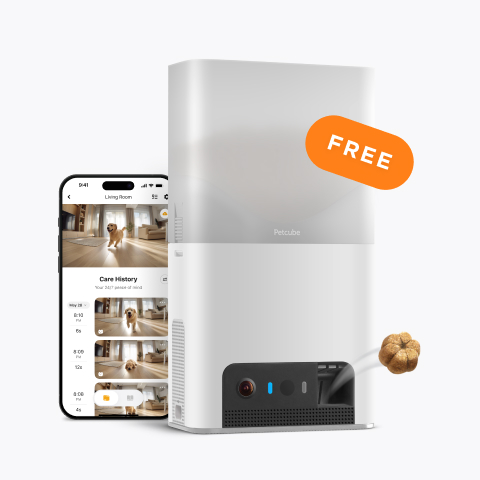 Lite Bundle