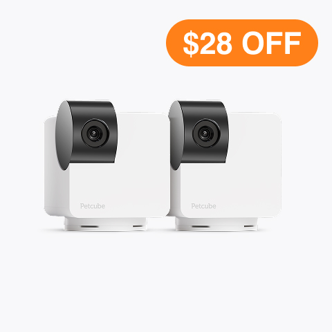 Cam 360 2 Pack