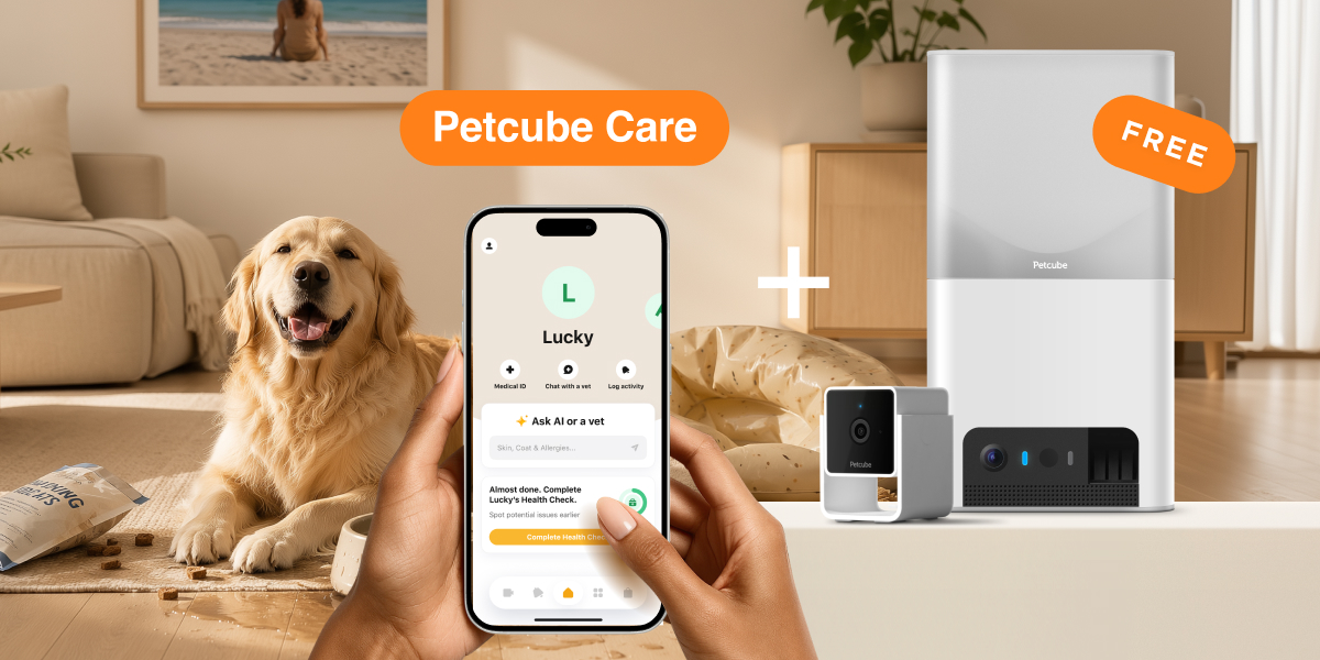 Cam+Care Bundle