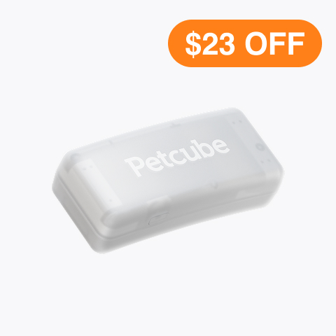 GPS Tracker