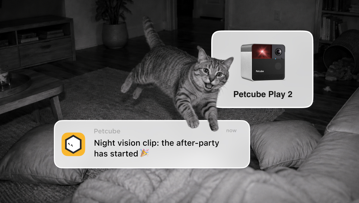 Petcube Fountain