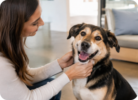 How to Adopt a Dog