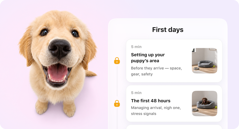 New Puppy Basics