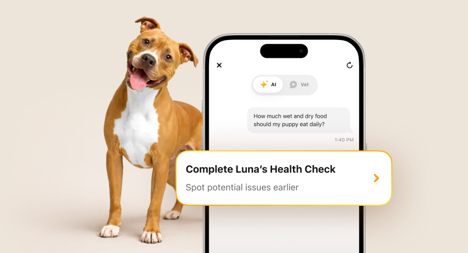 Free Health Check