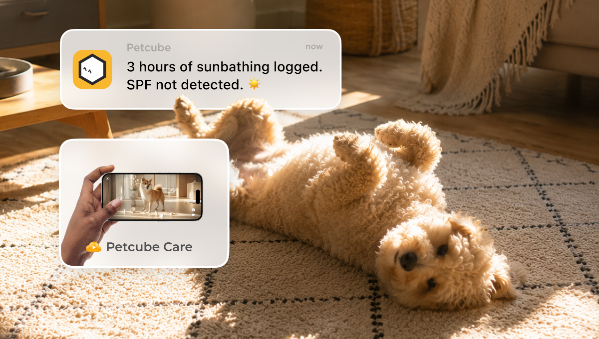 Petcube Care